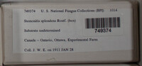 Image Associated With the Occurence